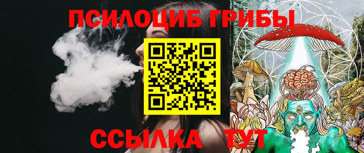 хочу   Псилоцибиновые грибы Cubensis  Вход с VPN  Псилоцибиновые грибы MAGIC MUSHROOMS  Жигулёвск 