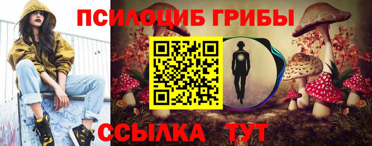 Псилоцибиновые грибы Psilocybe Жигулёвск